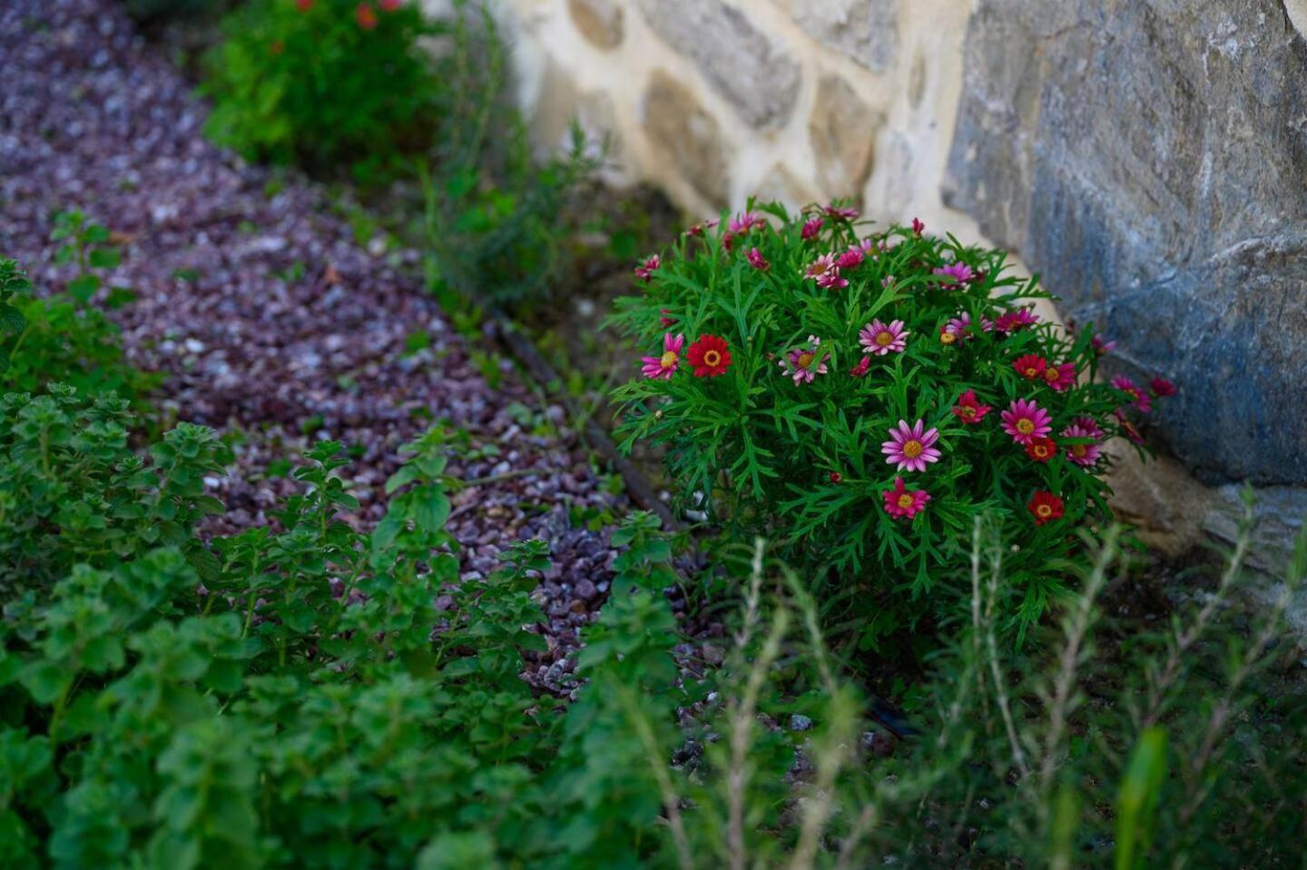 Physis Country House Near Matala Beach & Faistos Kouses Ngoại thất bức ảnh